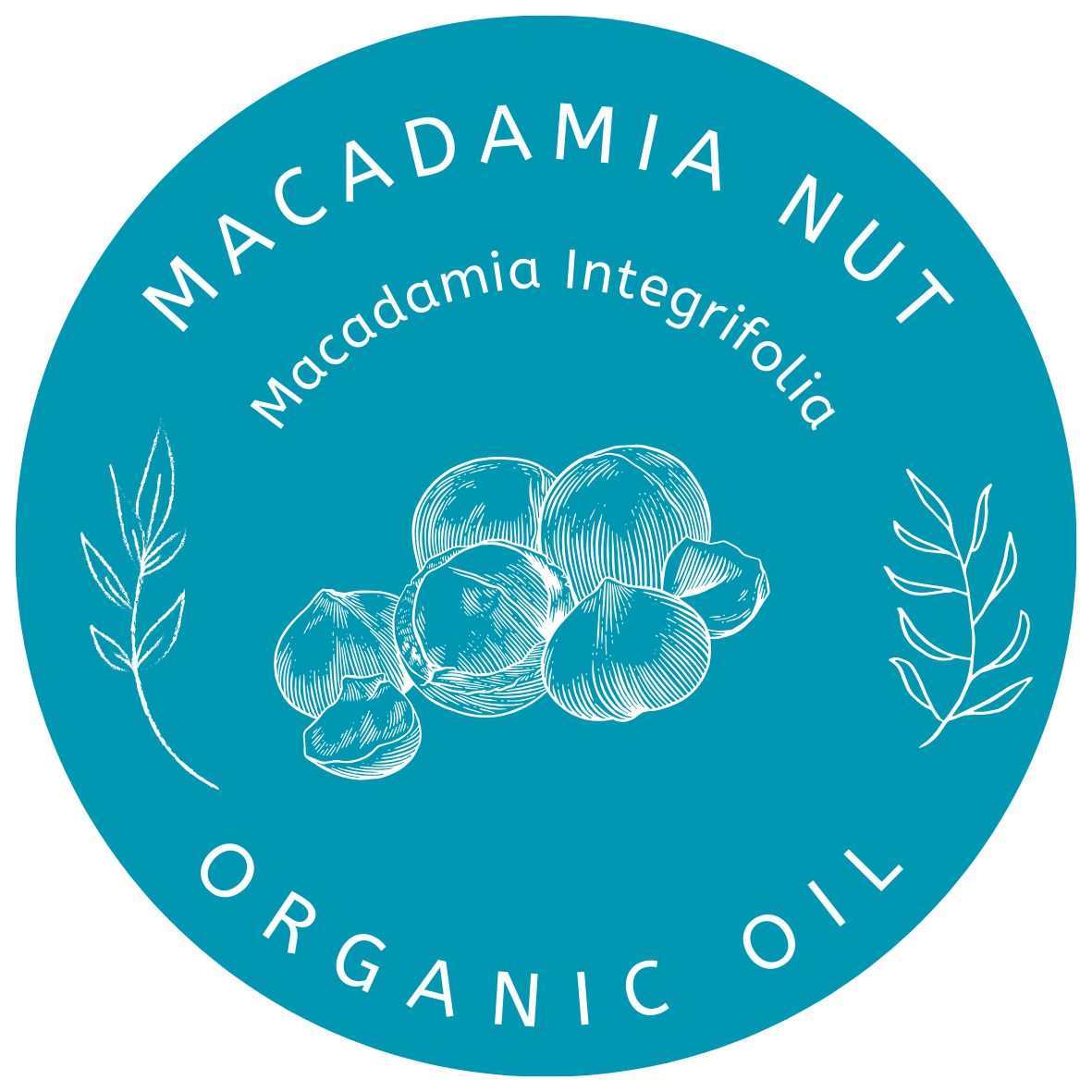 Organic Macadamia Nut Oil Macadamia Integrifolia | Miron Violet Glass Premium Oil Dropper Bottled by Hand Food Grade Queensland Nut Oil