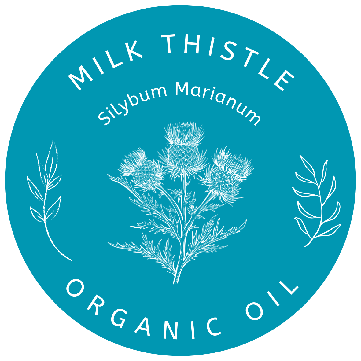 Organic Milk Thistle Oil in Miron Glass with Dropper Food Grade Cold Pressed Milk Thistle Oil Food Grade Oil Holy Thistle