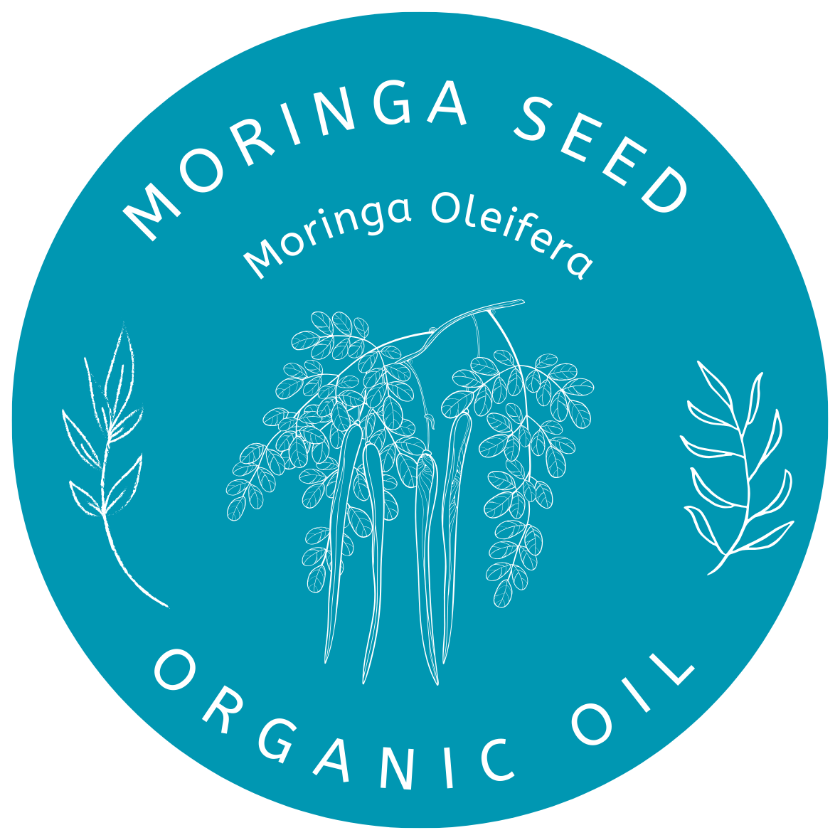 Organic Moringa Seed Oil (Moringa Oleifera) in Miron Violet Glass with Dropper Bottled by Hand Food Grade Cold Pressed Moringa Seed Oil