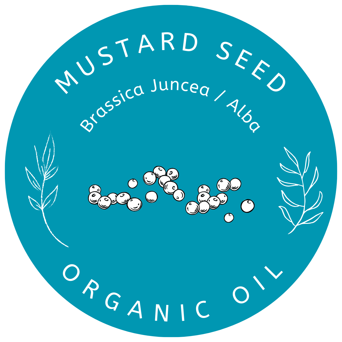 Organic Mustard Seed Oil Brassica Juncea /Alba Miron Violet Glass with Dropper Bottled by Hand Food Grade Cold Pressed Mustard Seed Oil