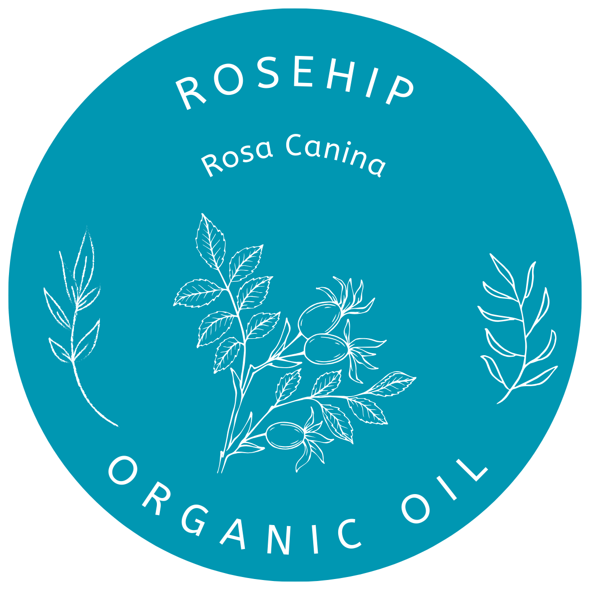 Organic Rosehip Oil (Rosa Canina) in Miron Glass with Dropper Bottled by Hand Food Grade Cold Pressed Rosehip Seed Oil