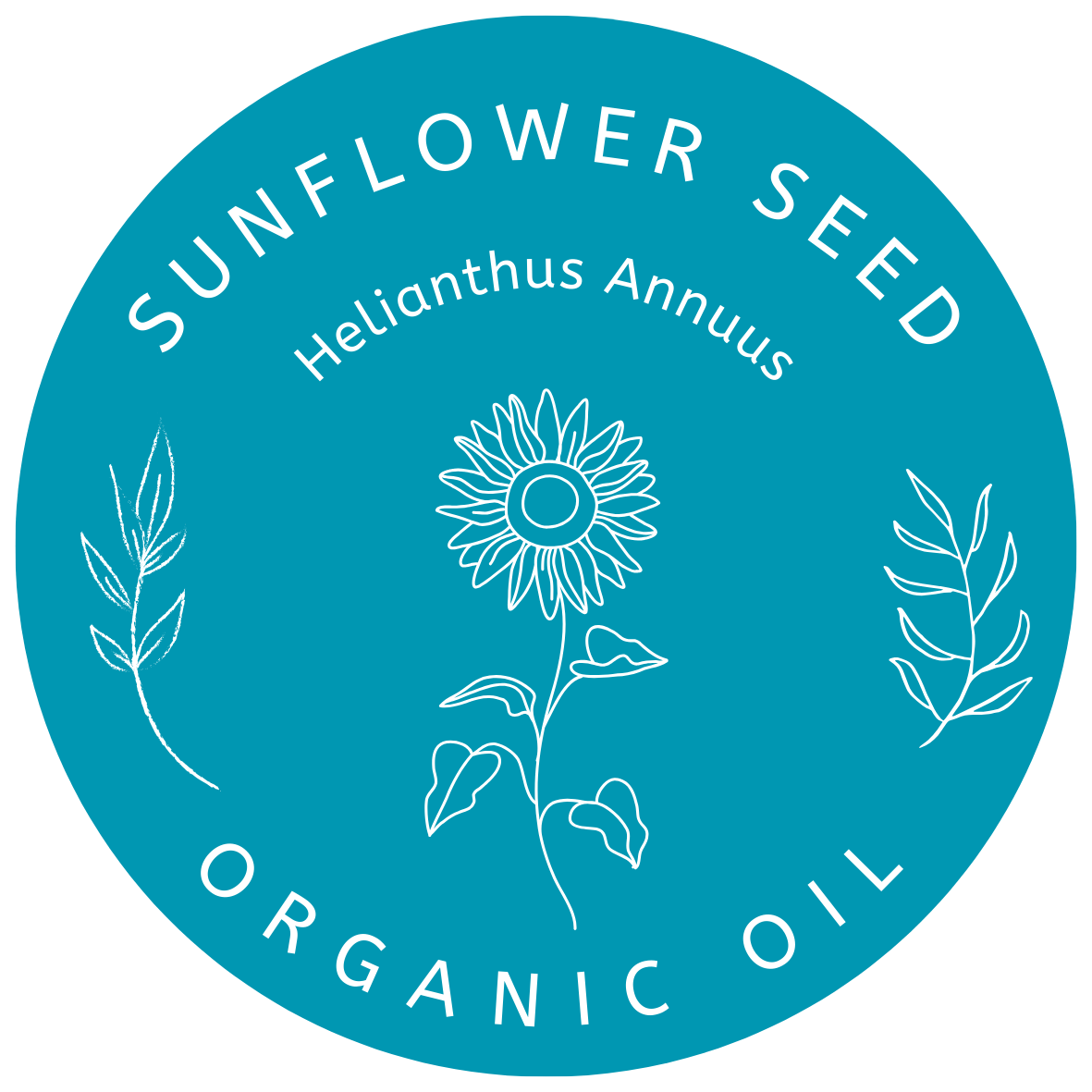 Organic Sunflower Seed Oil (Helianthus Annuus) in Miron Glass with Dropper Bottled by Hand Food Grade Cold Pressed Sunflower Oil