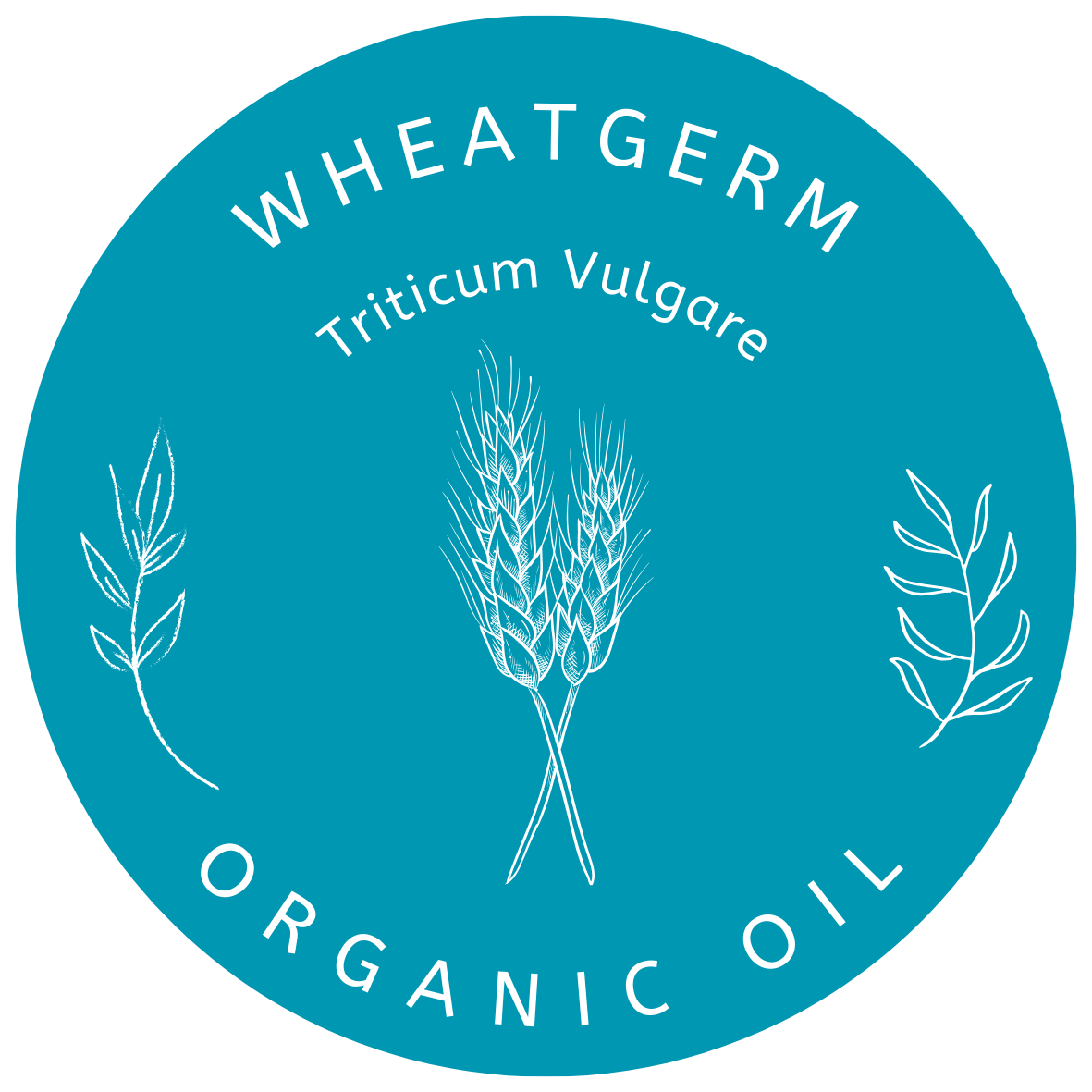 Organic Wheatgerm Oil (Triticum Vulgare) in Miron Glass with Dropper Bottled by Hand Food Grade Cold Pressed Wheatgerm Oil