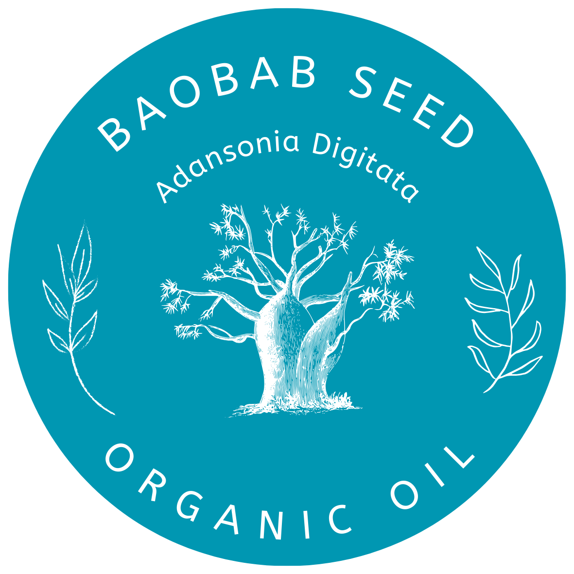 Organic Baobab Seed Oil (Adansonia Digitata) in Miron Violet Glass with Dropper Bottled by Hand Food Grade Cold Pressed Baobab Seed Oil