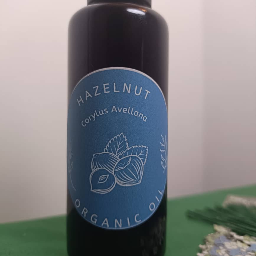 Organic Hazelnut Oil Corylus Avellana in Miron Violet Glass Premium Quality Oil Glass Dropper Bottled by Hand Food Grade Hazel Nut Oil
