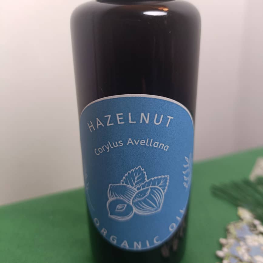 Organic Hazelnut Oil Corylus Avellana in Miron Violet Glass Premium Quality Oil Glass Dropper Bottled by Hand Food Grade Hazel Nut Oil