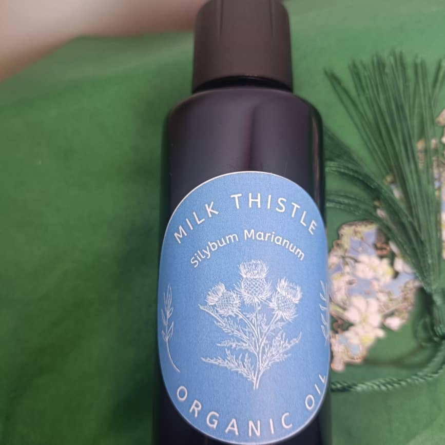 Organic Milk Thistle Oil in Miron Glass with Dropper Food Grade Cold Pressed Milk Thistle Oil Food Grade Oil Holy Thistle