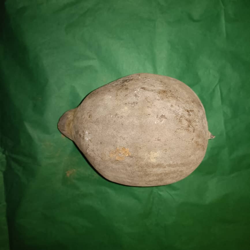 Baobab Whole Fruit Pod 2025 Crop Raw Baobab Pod with Pulp & seeds Baobab Dried Pod UK