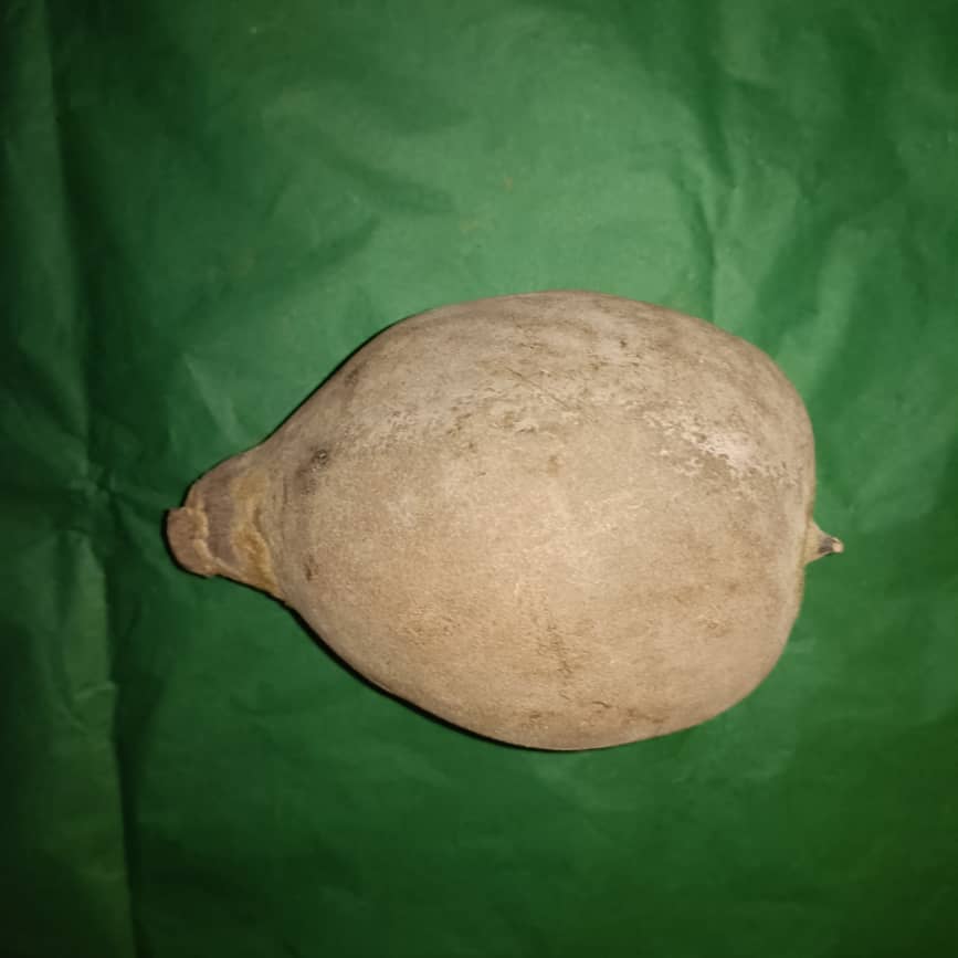 Baobab Whole Fruit Pod 2025 Crop Raw Baobab Pod with Pulp & seeds Baobab Dried Pod UK