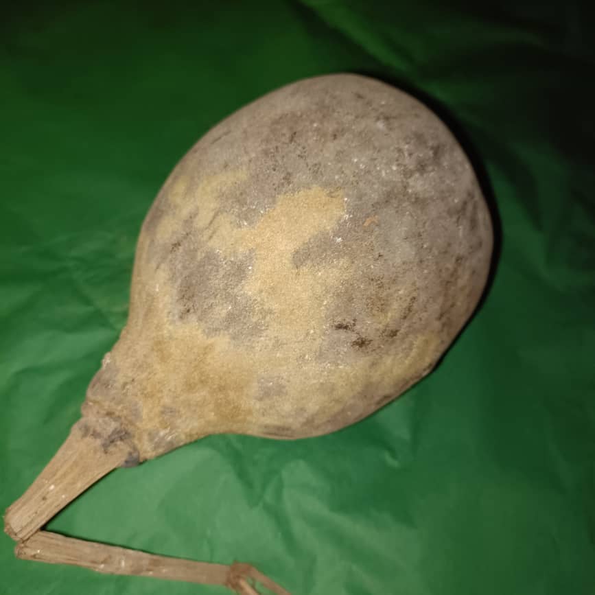 Baobab Whole Fruit Pod 2025 Crop Raw Baobab Pod with Pulp & seeds Baobab Dried Pod UK