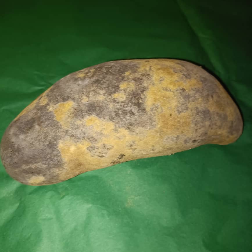 Baobab Whole Fruit Pod 2025 Crop Raw Baobab Pod with Pulp & seeds Baobab Dried Pod UK