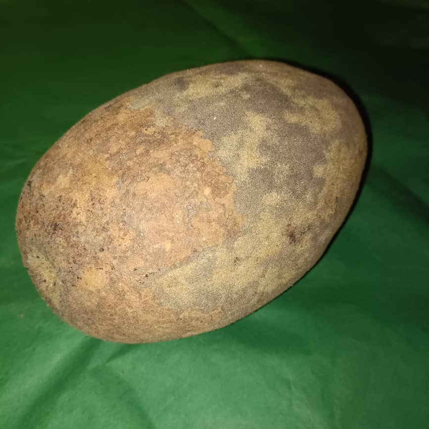 Baobab Whole Fruit Pod 2025 Crop Raw Baobab Pod with Pulp & seeds Baobab Dried Pod UK