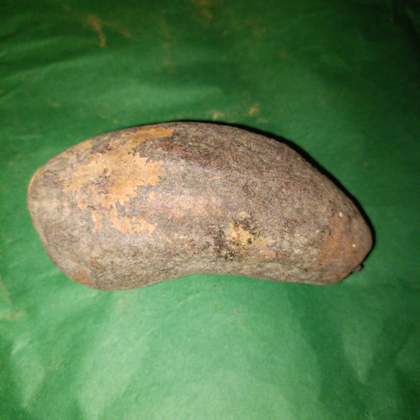 Baobab Whole Fruit Pod 2025 Crop Raw Baobab Pod with Pulp & seeds Baobab Dried Pod UK