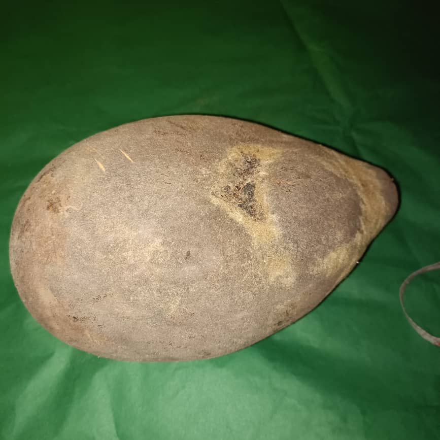 Baobab Whole Fruit Pod 2025 Crop Raw Baobab Pod with Pulp & seeds Baobab Dried Pod UK