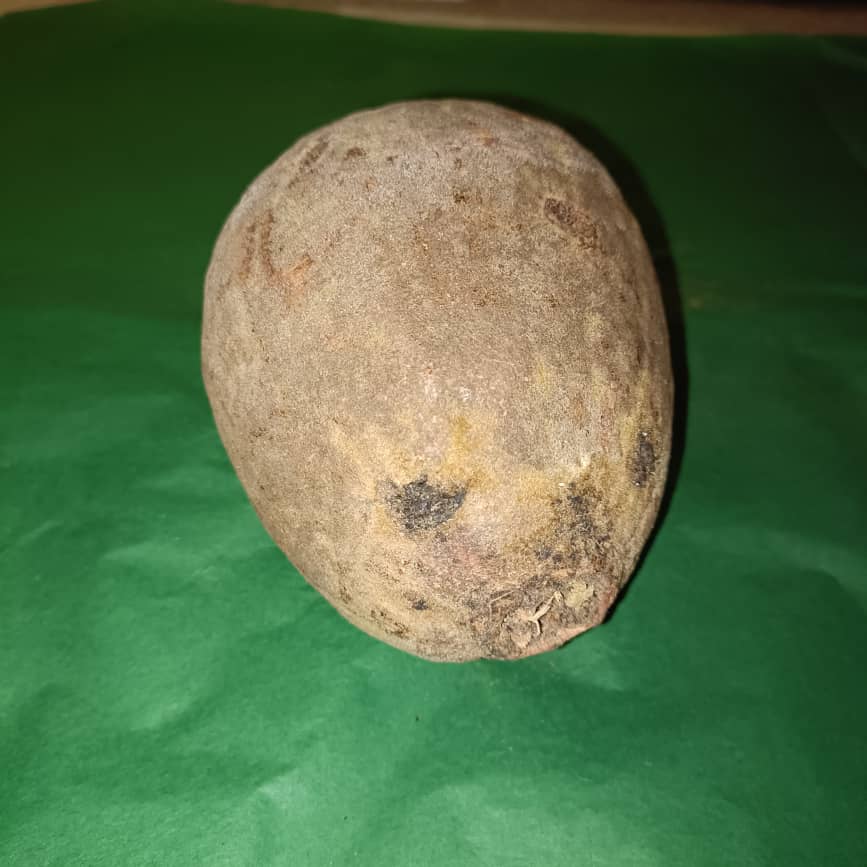 Baobab Whole Fruit Pod 2025 Crop Raw Baobab Pod with Pulp & seeds Baobab Dried Pod UK