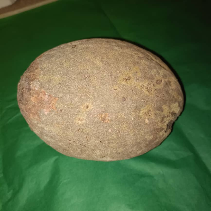 Baobab Whole Fruit Pod 2025 Crop Raw Baobab Pod with Pulp & seeds Baobab Dried Pod UK