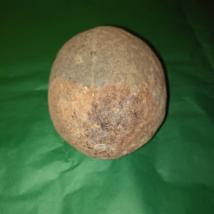 Baobab Whole Fruit Pod 2025 Crop Raw Baobab Pod with Pulp & seeds Baobab Dried Pod UK
