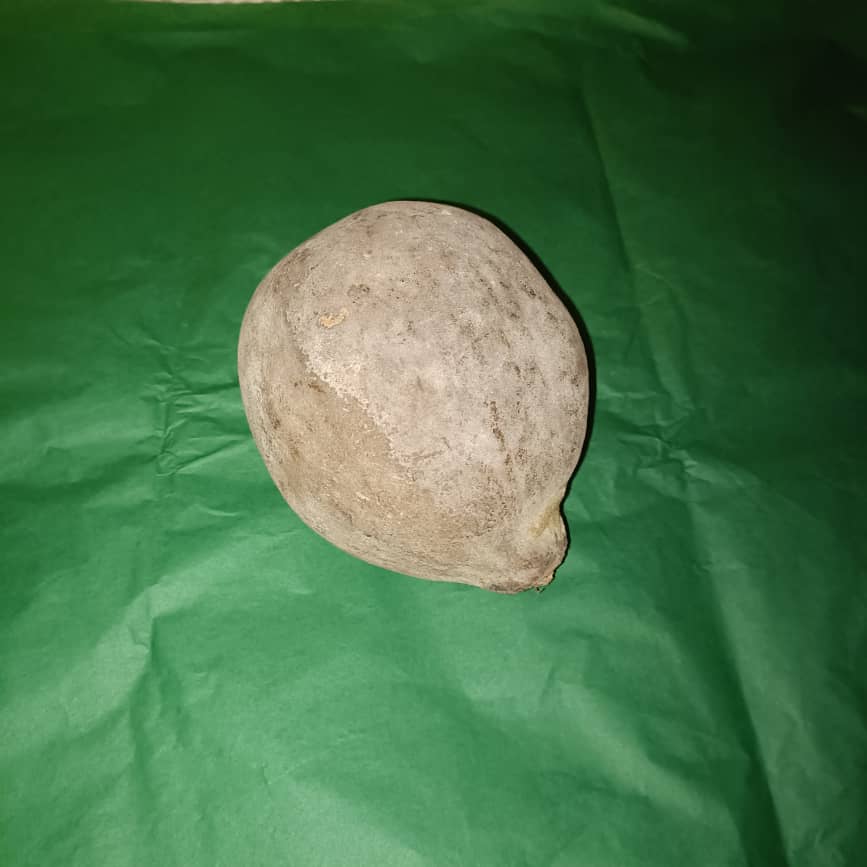 Baobab Whole Fruit Pod 2025 Crop Raw Baobab Pod with Pulp & seeds Baobab Dried Pod UK