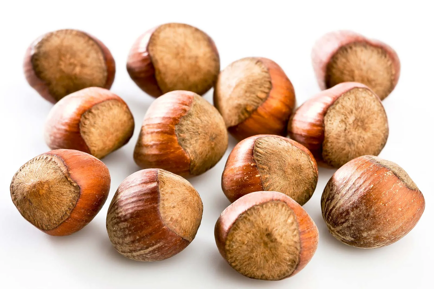 Organic Hazelnut Oil Corylus Avellana in Miron Violet Glass Premium Quality Oil Glass Dropper Bottled by Hand Food Grade Hazel Nut Oil