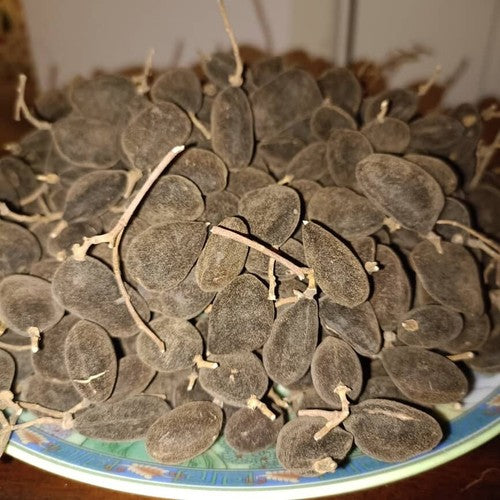 100g African Black Velvet Tamarind | Yooyi | Dialium Guineensis | UK stock