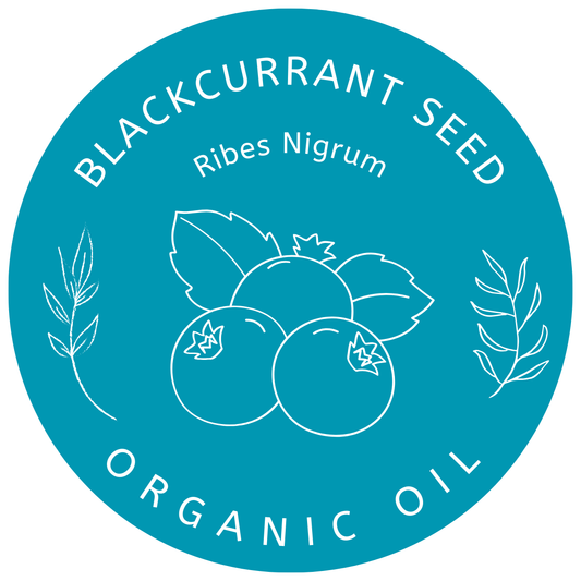 Organic Blackcurrant Seed Oil (Ribes Nigrum) in Miron Glass with Dropper Bottled by Hand Food Grade Cold Pressed Blackcurrant Oil