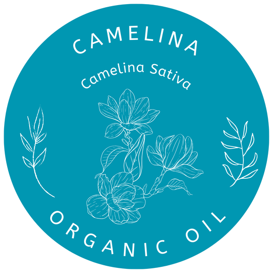 Organic Camelina Oil (Camelina Sativa) in Miron Violet Glass with Dropper Bottled by Hand Food Grade Cold Pressed Camelina Oil