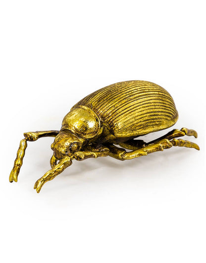22cm Large Hand-painted Gold Beetle Wall Decoration Hanging Bug Wall Art Golden Insect Beetle