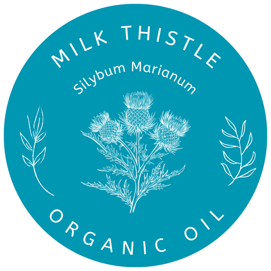 Organic Milk Thistle Oil in Miron Glass with Dropper Food Grade Cold Pressed Milk Thistle Oil Food Grade Oil Holy Thistle