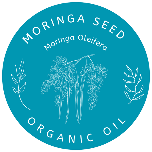 Organic Moringa Seed Oil (Moringa Oleifera) in Miron Violet Glass with Dropper Bottled by Hand Food Grade Cold Pressed Moringa Seed Oil