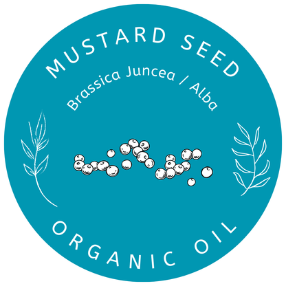 Organic Mustard Seed Oil Brassica Juncea /Alba Miron Violet Glass with Dropper Bottled by Hand Food Grade Cold Pressed Mustard Seed Oil