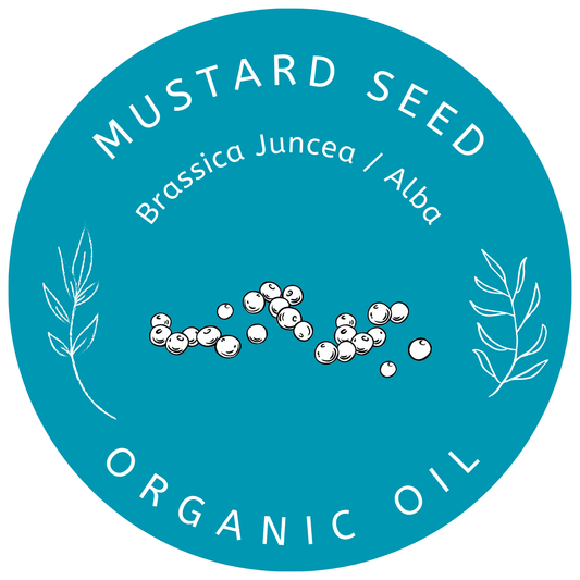 Organic Mustard Seed Oil Brassica Juncea /Alba Miron Violet Glass with Dropper Bottled by Hand Food Grade Cold Pressed Mustard Seed Oil