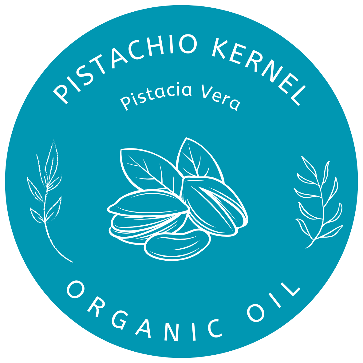 Organic Pistachio Kernel Oil Pistacia Vera in Miron Glass with Dropper Bottled by Hand Food Grade Cold Pressed Pistachio Nut Oil