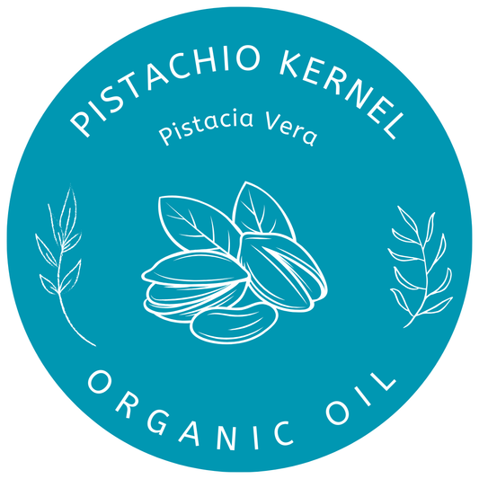 Organic Pistachio Kernel Oil Pistacia Vera in Miron Glass with Dropper Bottled by Hand Food Grade Cold Pressed Pistachio Nut Oil
