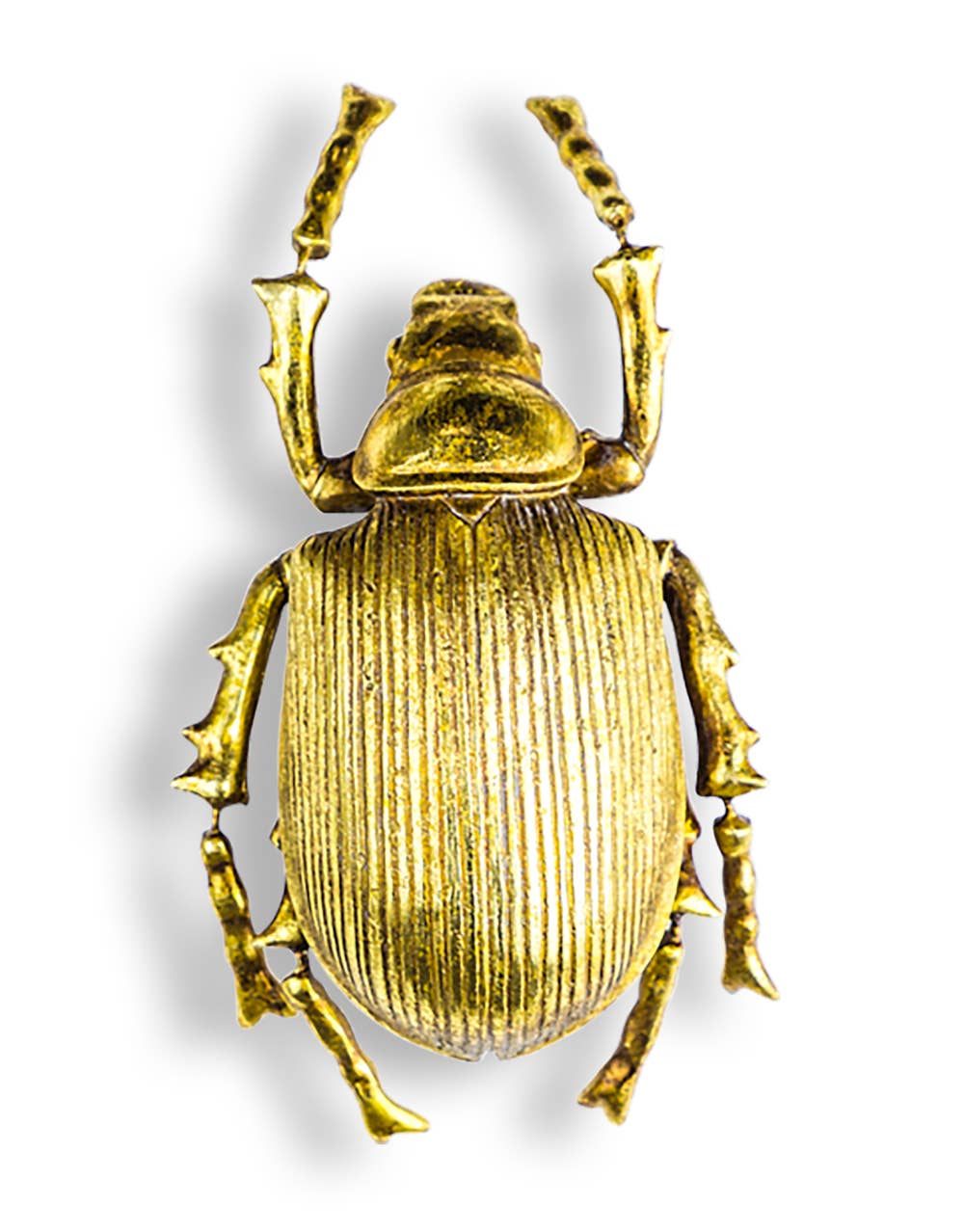 22cm Large Hand-painted Gold Beetle Wall Decoration Hanging Bug Wall Art Golden Insect Beetle