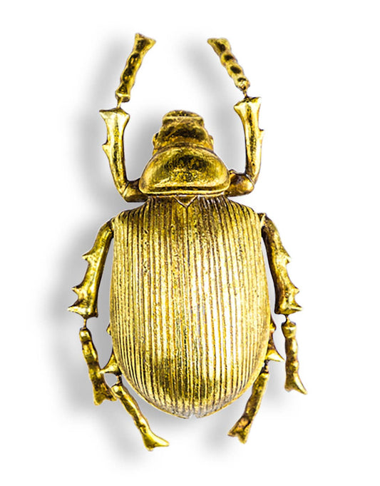 22cm Large Hand-painted Gold Beetle Wall Decoration Hanging Bug Wall Art Golden Insect Beetle