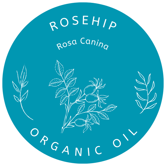 Organic Rosehip Oil (Rosa Canina) in Miron Glass with Dropper Bottled by Hand Food Grade Cold Pressed Rosehip Seed Oil