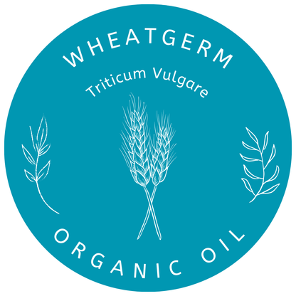 Organic Wheatgerm Oil (Triticum Vulgare) in Miron Glass with Dropper Bottled by Hand Food Grade Cold Pressed Wheatgerm Oil