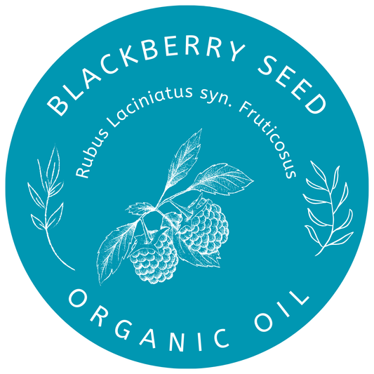 Organic Blackberry Seed Oil Rubus Laciniatus Fruticosus Miron Glass with Dropper Bottled by Hand Food Grade Cold Press Blackberry Seed
