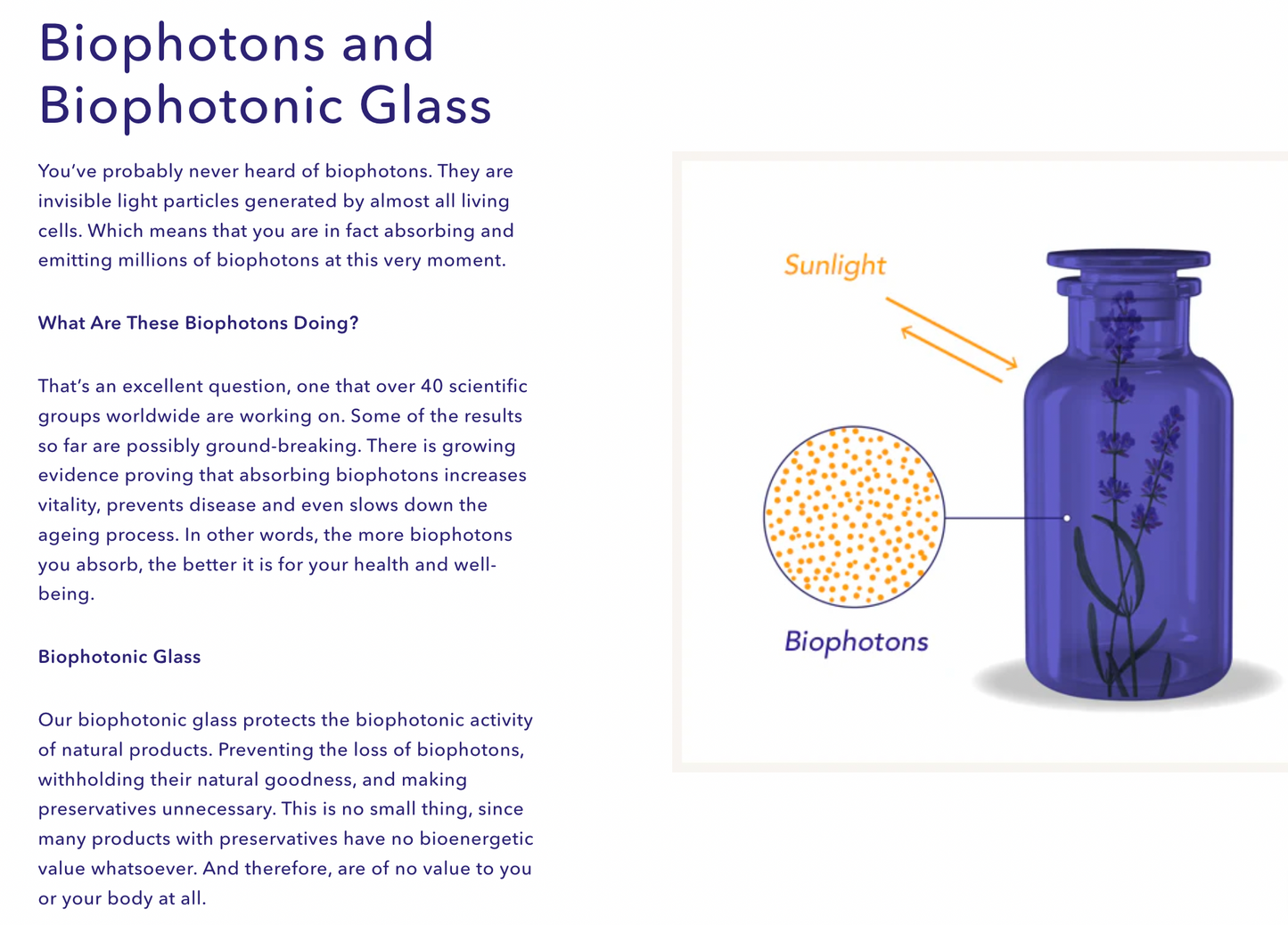 Organic Rice Bran Oil (Oryza Sativa) in Miron Violet Glass with Dropper Bottled by Hand Food Grade CO2 Extraction Rice Bran Oil