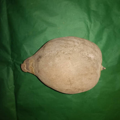 Baobab Whole Fruit Pod 2025 Crop Raw Baobab Pod with Pulp & seeds Baobab Dried Pod UK