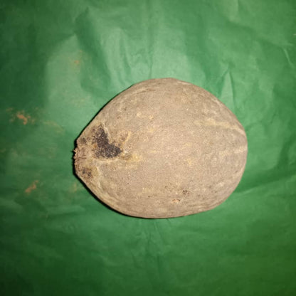 Baobab Whole Fruit Pod 2025 Crop Raw Baobab Pod with Pulp & seeds Baobab Dried Pod UK