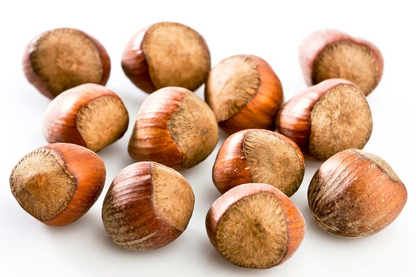 Organic Hazelnut Oil Corylus Avellana in Miron Violet Glass Premium Quality Oil Glass Dropper Bottled by Hand Food Grade Hazel Nut Oil